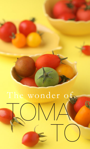 The Wonder of TOMATO