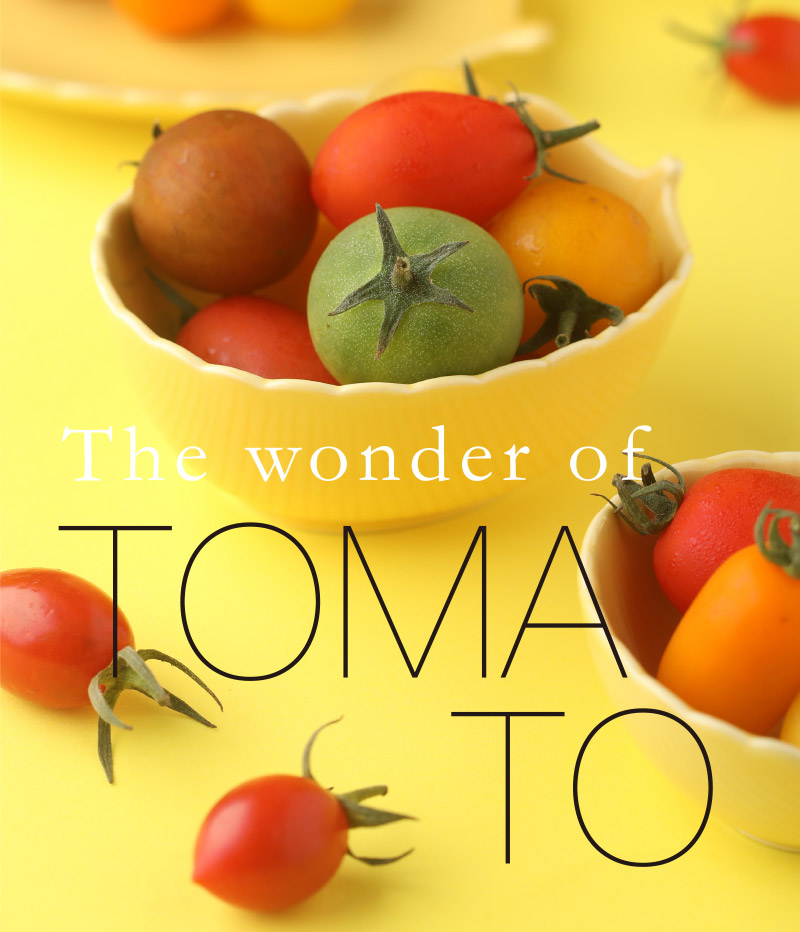 The Wonder of TOMATO