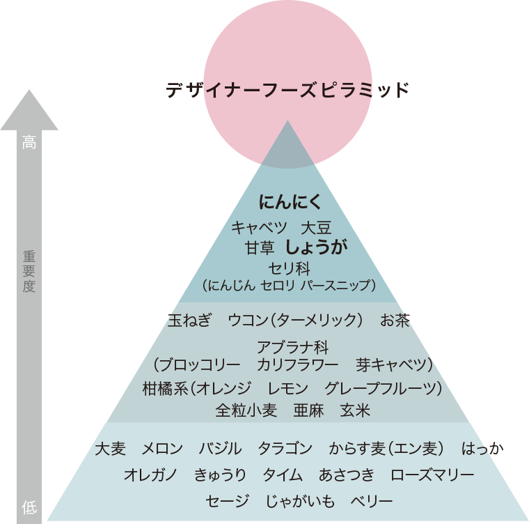 デザイナーフーズプログラムピラミッド