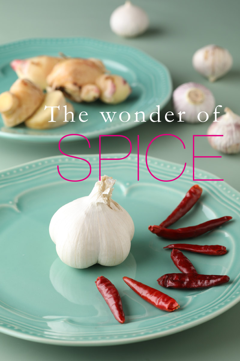 the wonder of SPICE