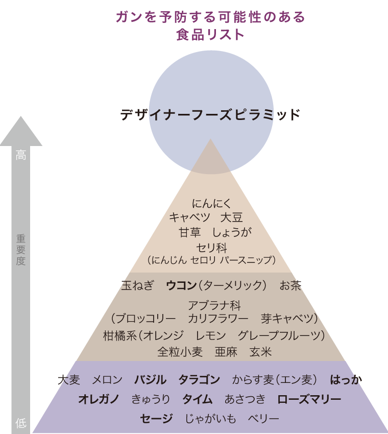 デザイナーフーズプログラムピラミッド