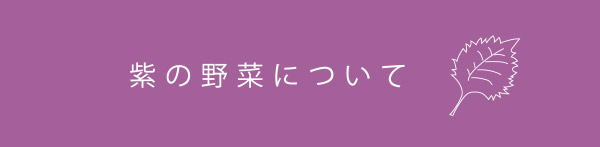 紫の野菜について