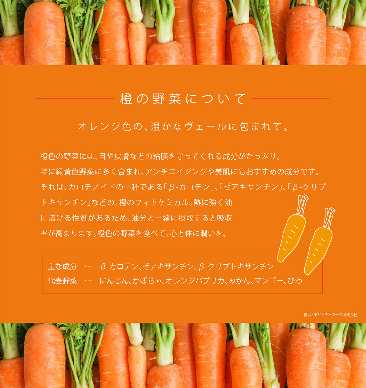 橙の野菜について オレンジ色の、温かなヴェールに包まれて。橙色の野菜には、目や皮膚などの粘膜を守ってくれる成分がたっぷり。橙色の野菜には、目や皮膚などの粘膜を守ってくれる成分がたっぷり。特に緑黄色野菜に多く含まれ、アンチエイジングや美肌にもおすすめの成分です。それは、カロテノイドの一種である「β-カロテン」、「ゼアキサンチン」、「β-クリプトキサンチン」などの、橙のフィトケミカル。熱に強く油に溶ける性質があるため、油分と一緒に摂取すると吸収率が高まります。橙色の野菜を食べて、心と体に潤いを。 主な成分　…　β-カロテン、ゼアキサンチン、β-クリプトキサンチン　代表野菜　…　にんじん、かぼちゃ、オレンジパプリカ、みかん、マンゴー、びわ