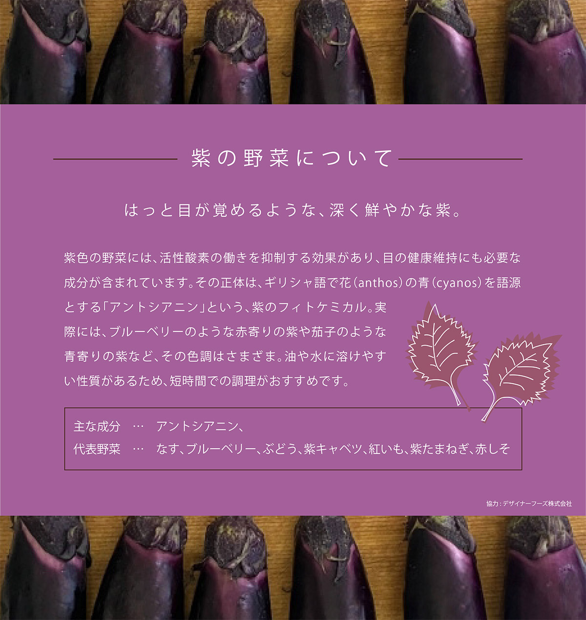 紫の野菜について はっと目が覚めるような、深く鮮やかな紫。紫色の野菜には、活性酸素の働きを抑制する効果があり、目の健康維持にも必要な成分が含まれています。その正体は、ギリシャ語で花（anthos）の青（cyanos）を語源とする「アントシアニン」という、紫のフィトケミカル。実際には、ブルーベリーのような赤寄りの紫や茄子のような青寄りの紫など、その色調はさまざま。油や水に溶けやすい性質があるため、短時間での調理がおすすめです。主な成分　…　アントシアニン、　代表野菜　…　なす、ブルーベリー、ぶどう、紫キャベツ、紅いも、紫たまねぎ、赤しそ