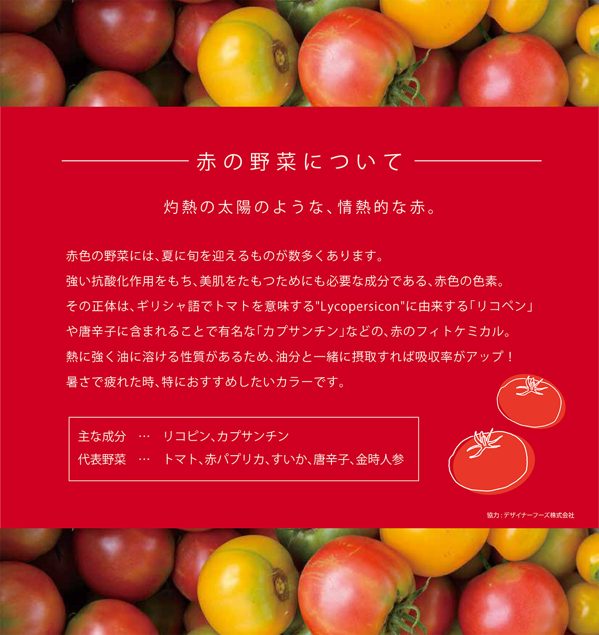 赤の野菜について 灼熱の太陽のような、情熱的な赤。赤色の野菜には、夏に旬を迎えるものが数多くあります。強い抗酸化作用をもち、美肌をたもつためにも必要な成分である、赤色の色素。その正体は、ギリシャ語でトマトを意味するLycopersiconに由来する「リコペン」や唐辛子に含まれることで有名な「カプサンチン」などの、赤のフィトケミカル。熱に強く油に溶ける性質があるため、油分と一緒に摂取すれば吸収率がアップ！暑さで疲れた時、特におすすめしたいカラーです。主な成分　…　リコピン、カプサンチン　代表野菜　…　トマト、赤パプリカ、すいか、唐辛子、金時人参