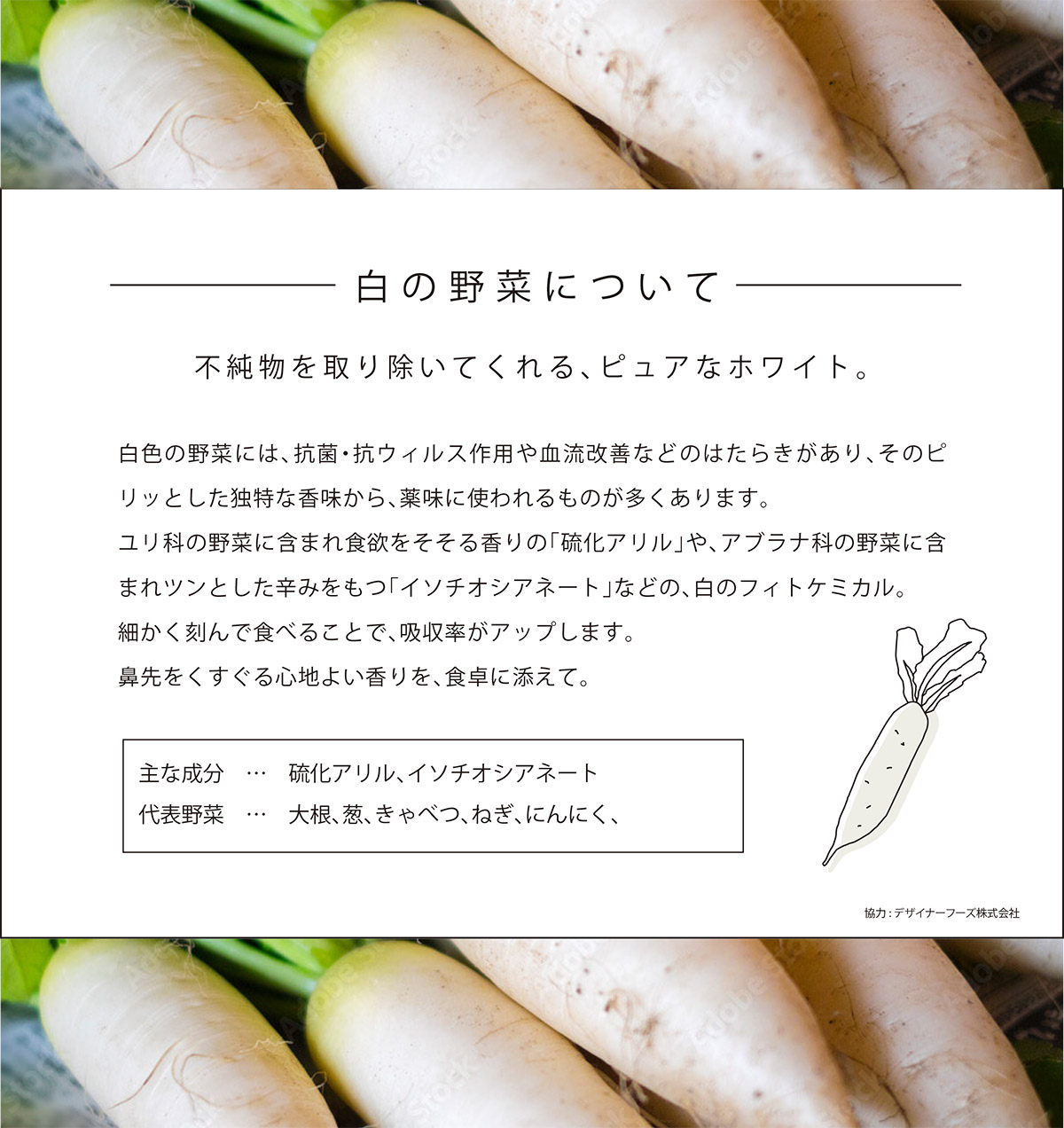 白の野菜について 不純物を取り除いてくれる、ピュアなホワイト。不純物を取り除いてくれる、ピュアなホワイト。白色の野菜には、抗菌・抗ウィルス作用や血流改善などのはたらきがあり、そのピリッとした独特な香味から、薬味に使われるものが多くあります。ユリ科の野菜に含まれ食欲をそそる香りの「硫化アリル」や、アブラナ科の野菜に含まれツンとした辛みをもつ「イソチオシアネート」などの、白のフィトケミカル。細かく刻んで食べることで、吸収率がアップします。鼻先をくすぐる心地よい香りを、食卓に添えて。主な成分　…　硫化アリル、イソチオシアネート　代表野菜　…　大根、葱、きゃべつ、ねぎ、にんにく、