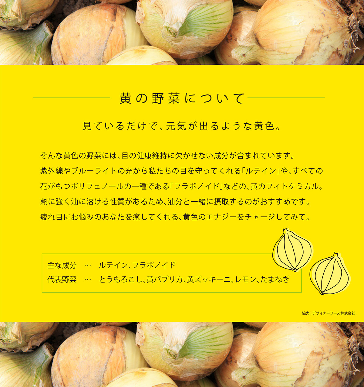 黄の野菜について 見ているだけで、元気が出るような黄色。そんな黄色の野菜には、目の健康維持に欠かせない成分が含まれています。紫外線やブルーライトの光から私たちの目を守ってくれる「ルテイン」や、すべての花がもつポリフェノールの一種である「フラボノイド」などの、黄のフィトケミカル。熱に強く油に溶ける性質があるため、油分と一緒に摂取するのがおすすめです。疲れ目にお悩みのあなたを癒してくれる、黄色のエナジーをチャージしてみて。主な成分　…　ルテイン、フラボノイド　代表野菜　…　とうもろこし、黄パプリカ、黄ズッキーニ、レモン、たまねぎ